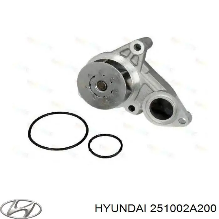 Купить 251002A200 Hyundai/Kia Насос охлаждения