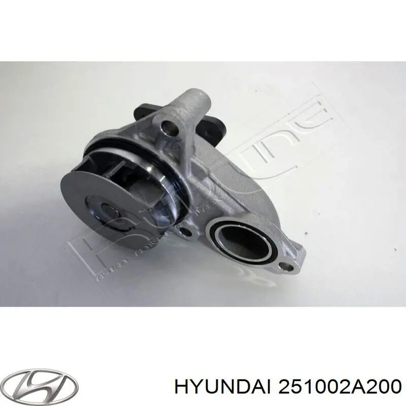 Водяной насос Hyundai/Kia 251002A200