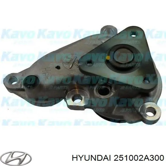 Водяной насос Hyundai/Kia 251002A300