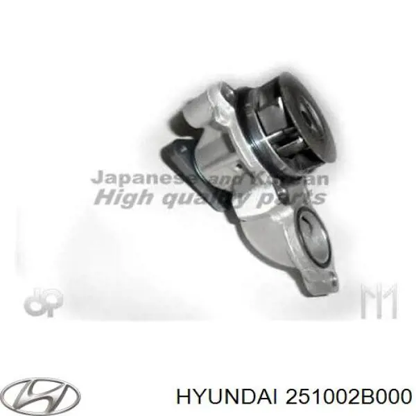 251002B000 Hyundai/Kia помпа