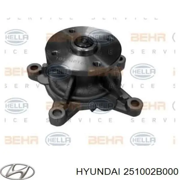 Помпа 251002B000 Hyundai/Kia