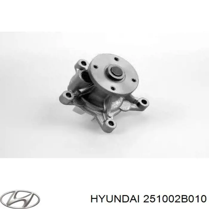Помпа охлаждения Hyundai/Kia 251002B010 цена, от 29.63 USD