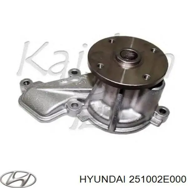 Помпа 251002E000 Hyundai/Kia