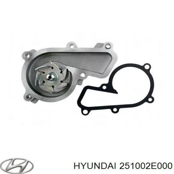 Помпа 251002E000 Hyundai/Kia