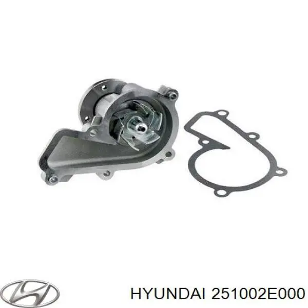 Водяной насос Hyundai/Kia 251002E000