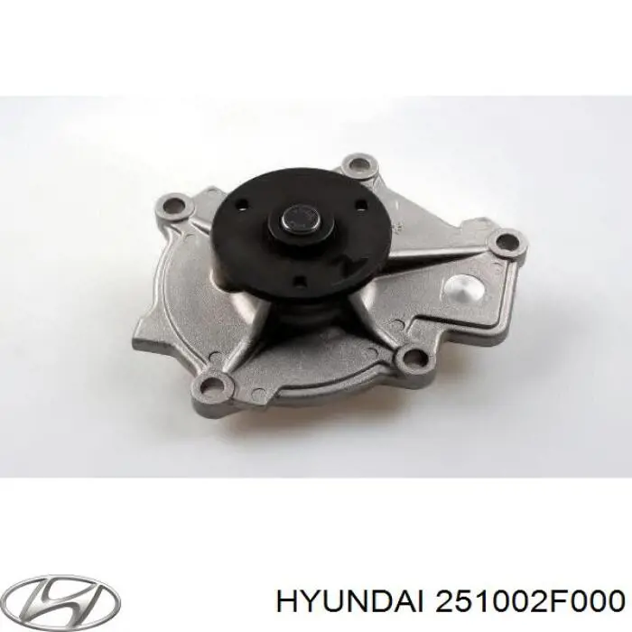 251002F000 Hyundai/Kia помпа