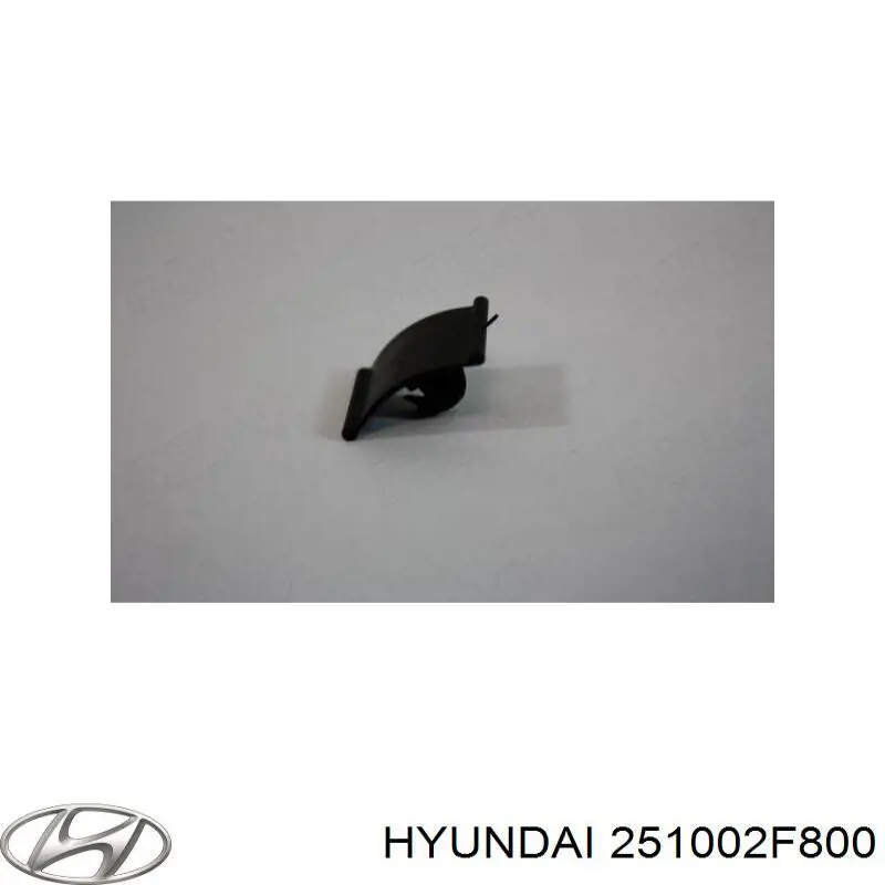 Помпа водяная (насос) охлаждения Hyundai/Kia 251002F800