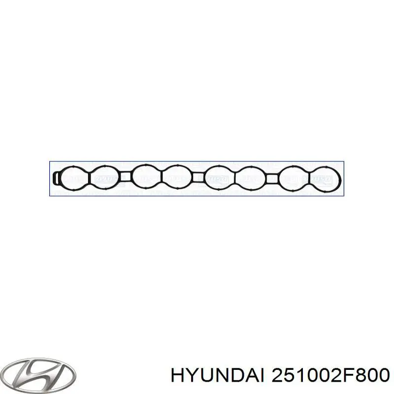 Помпа водяна, (насос) охолодження 251002F800 Hyundai/Kia