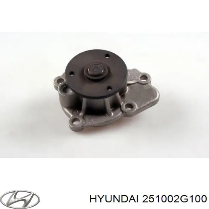 Купить 251002G100 Hyundai/Kia Насос охлаждения