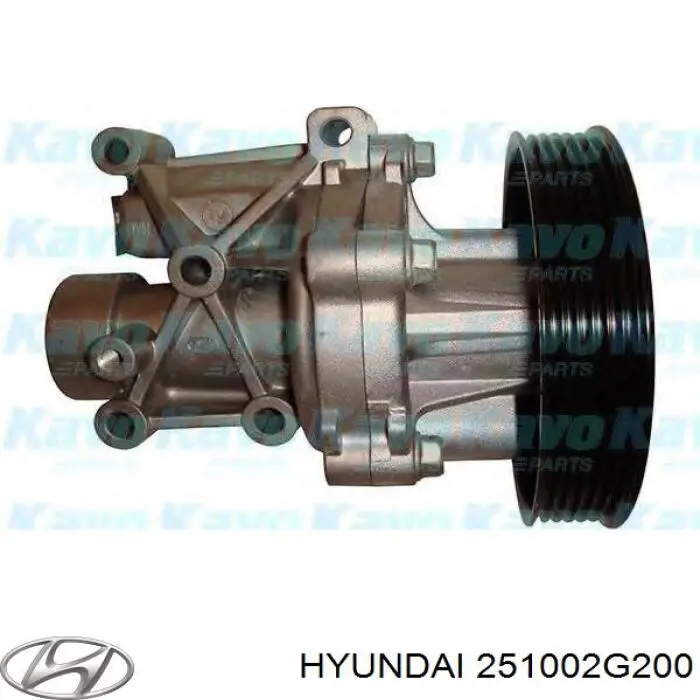 Помпа 251002G200 Hyundai/Kia