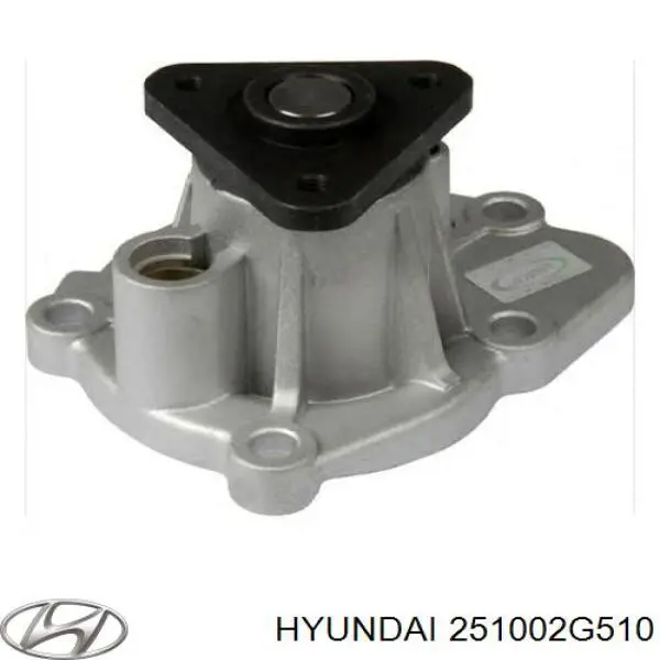 251002G510 Hyundai/Kia помпа водяная (насос охлаждения, в сборе с корпусом)
