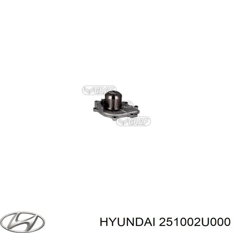  251002U000 Hyundai/Kia