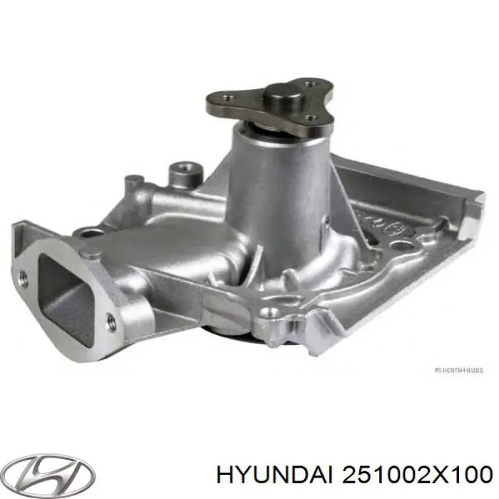 25100-2X100 Hyundai/Kia bomba de água (bomba de esfriamento)