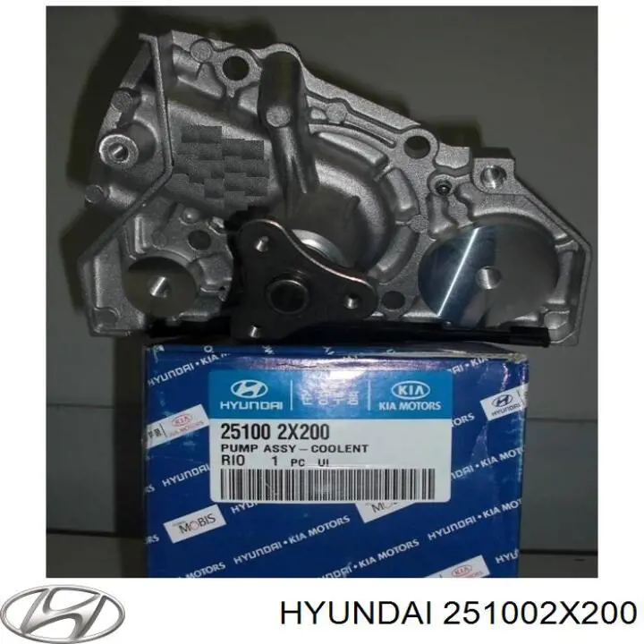 251002X200 Hyundai/Kia помпа