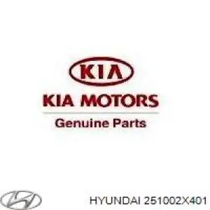 Помпа 251002X401 Hyundai/Kia