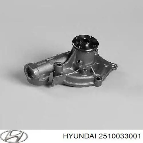 2510033001 Hyundai/Kia Насос водяной