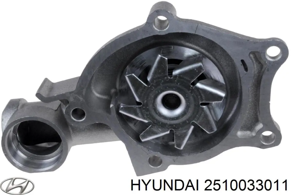 2510033011 Hyundai/Kia Насос водяной