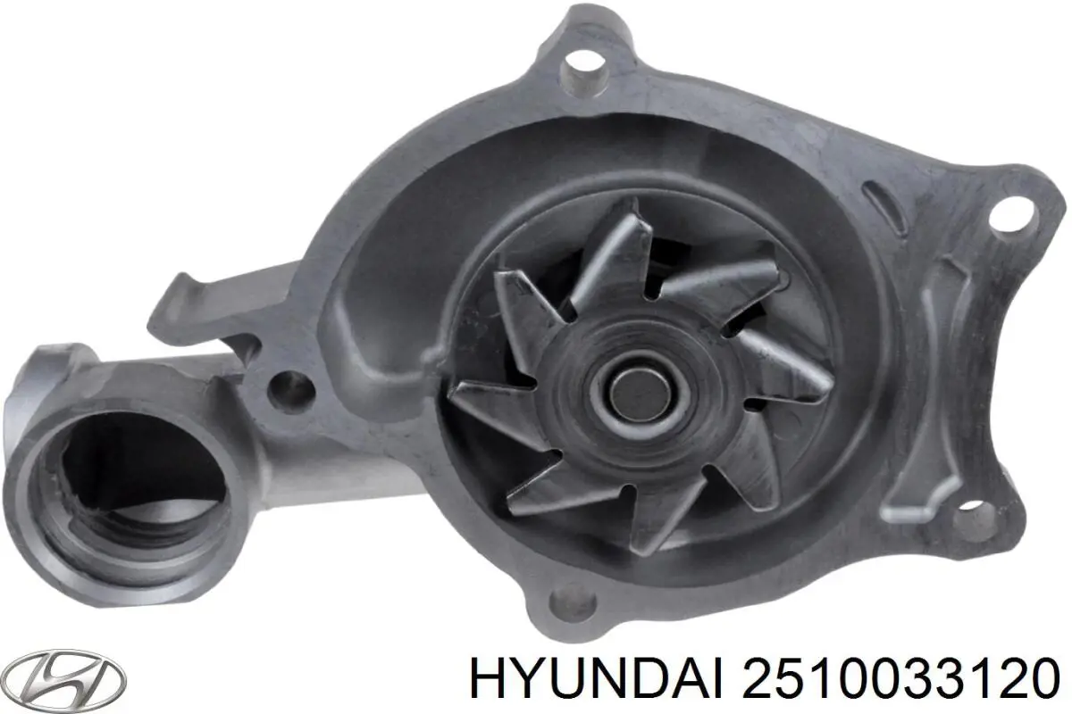 Водяной насос Hyundai/Kia 2510033120