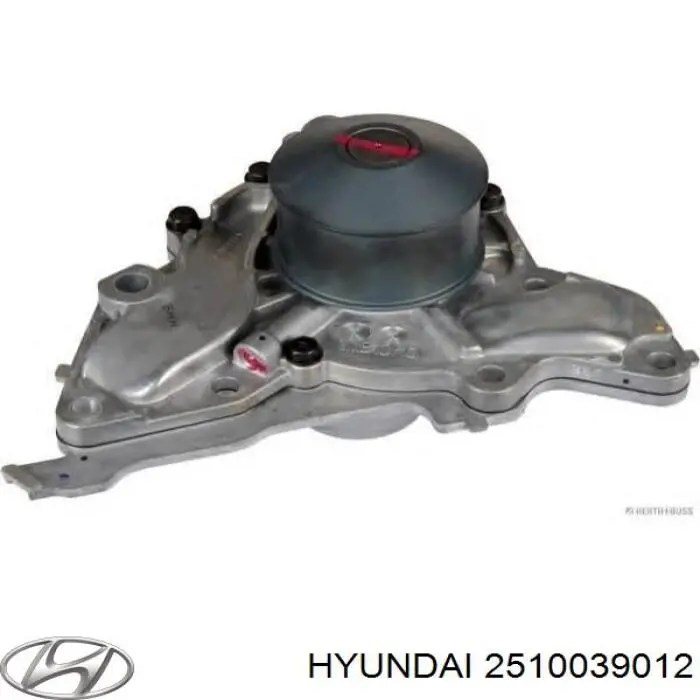 Помпа 2510039012 Hyundai/Kia