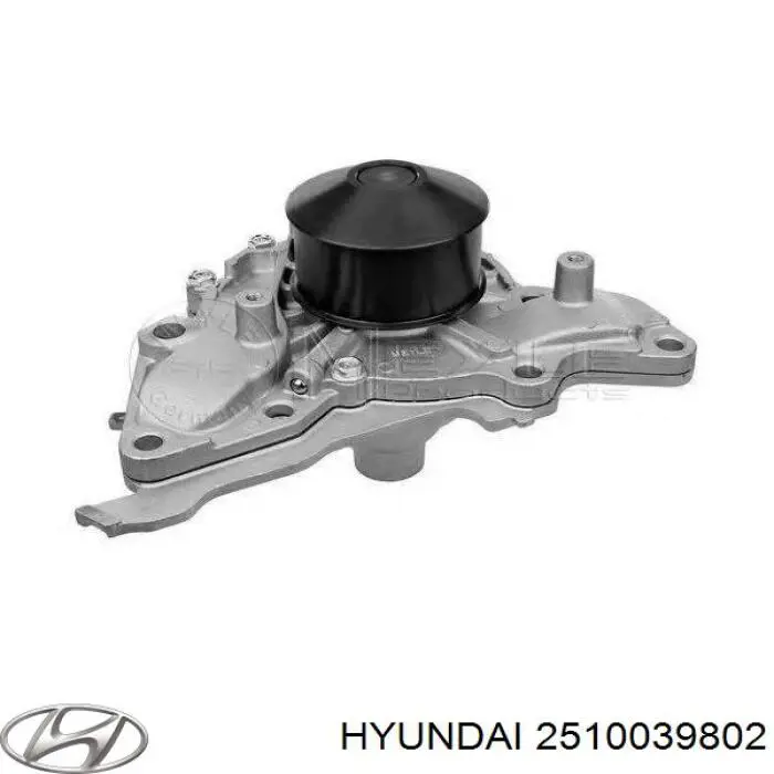 2510039802 Hyundai/Kia помпа