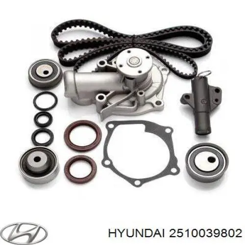 Помпа охлаждения Hyundai/Kia 2510039802 цена, от 51.34 USD