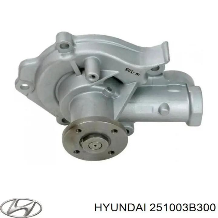 Помпа 251003B300 Hyundai/Kia