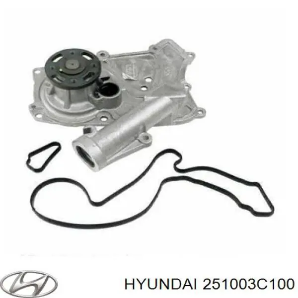 Помпа 251003C100 Hyundai/Kia