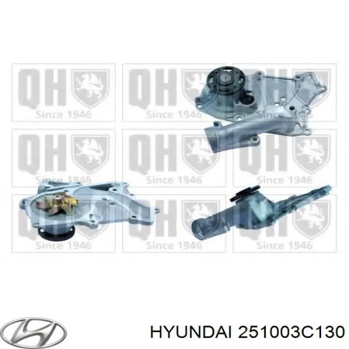 Помпа 251003C130 Hyundai/Kia
