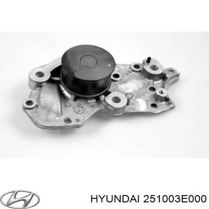 Купить 251003E000 Hyundai/Kia Насос охлаждения