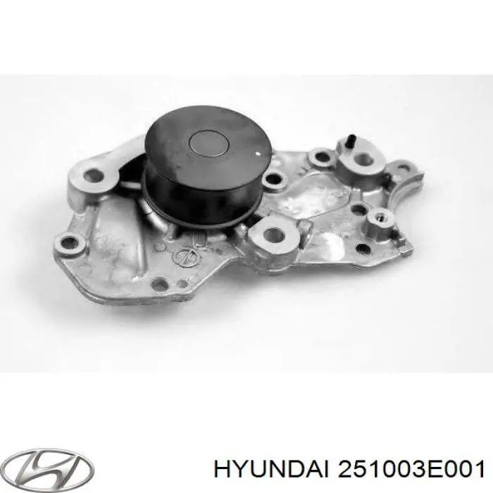 Помпа охлаждения Hyundai/Kia 251003E001 цена, от 78.34 USD