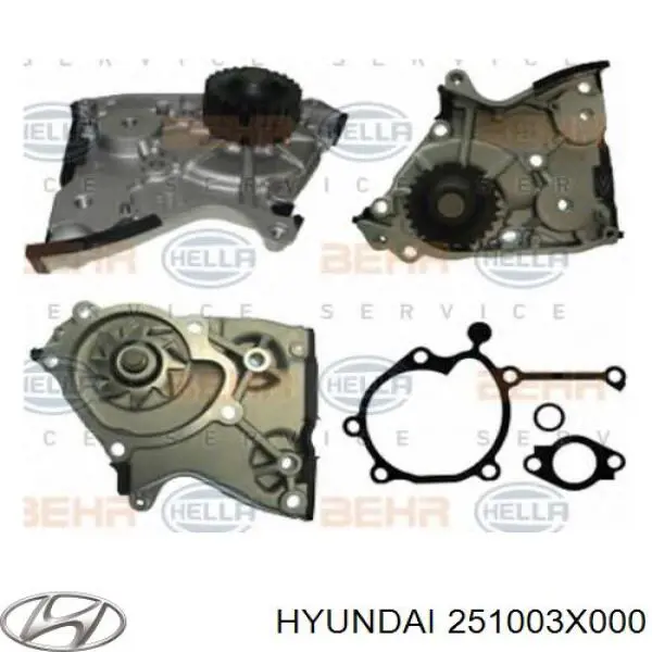 Помпа 251003X000 Hyundai/Kia