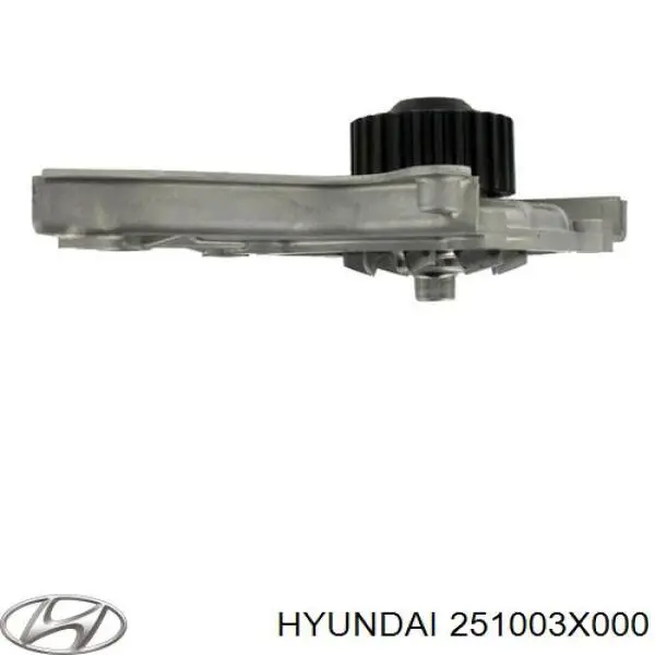 251003X000 Hyundai/Kia помпа