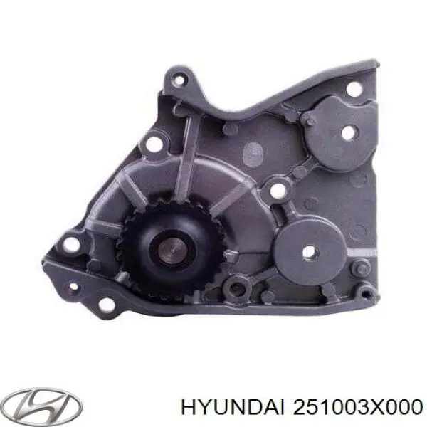 Помпа 251003X000 Hyundai/Kia