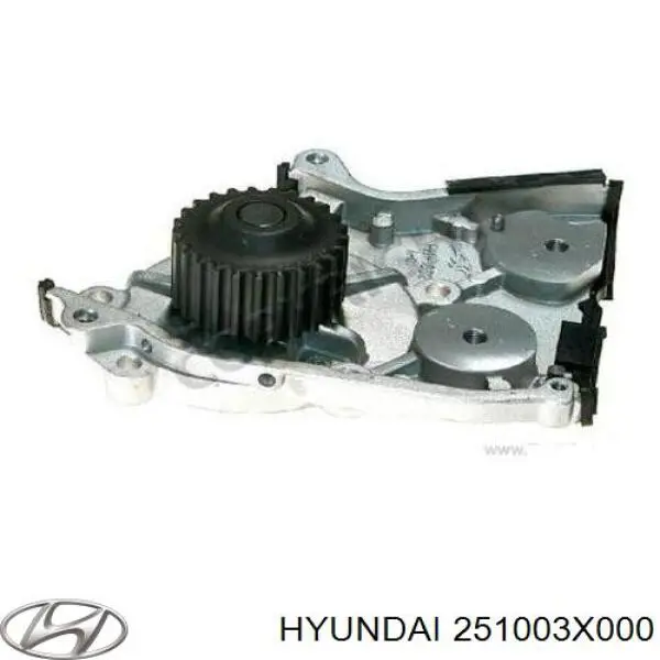 Водяной насос Hyundai/Kia 251003X000