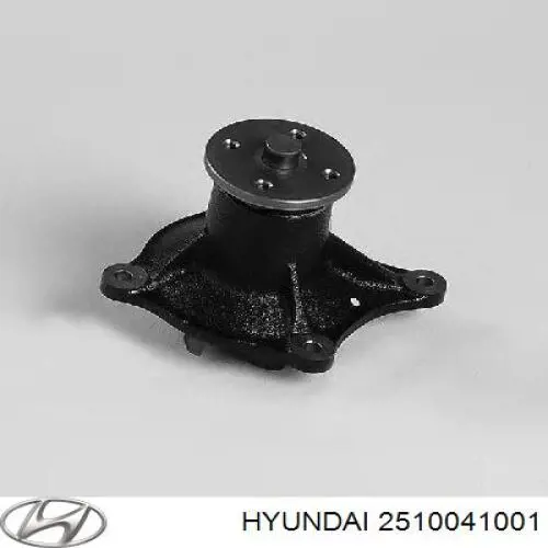 2510041001 Hyundai/Kia Насос водяной
