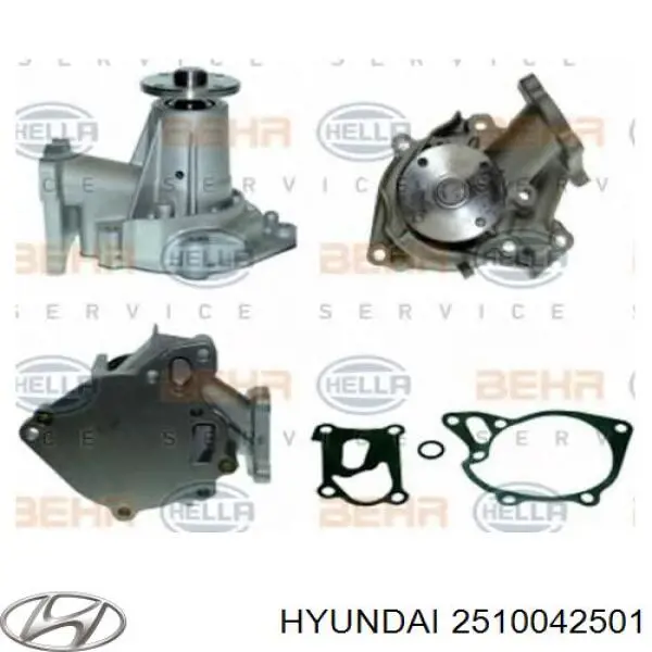 2510042501 Hyundai/Kia помпа