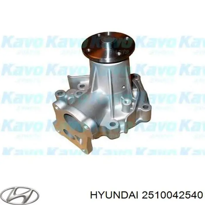 Помпа 2510042540 Hyundai/Kia