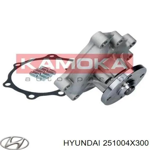 Помпа 251004X300 Hyundai/Kia