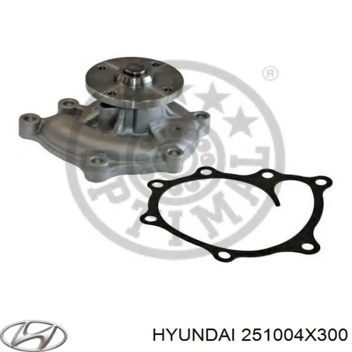 251004X300 Hyundai/Kia помпа