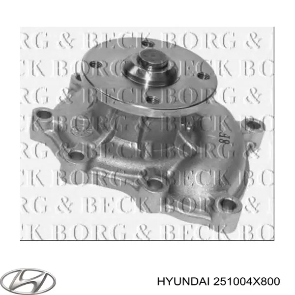 Водяной насос Hyundai/Kia 251004X800