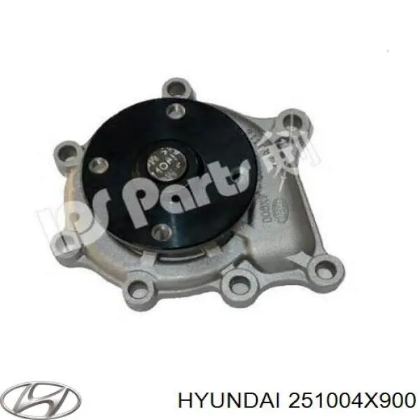 251004X900 Hyundai/Kia помпа