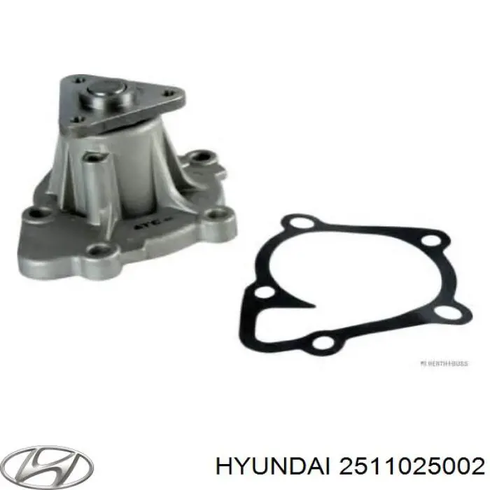 Помпа 2511025002 Hyundai/Kia