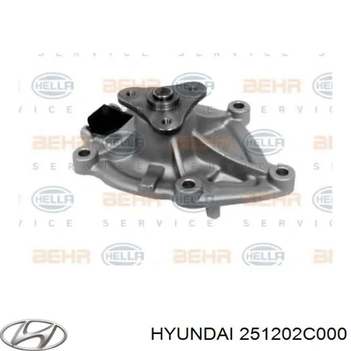 Bomba de agua 251202C000 Hyundai/Kia