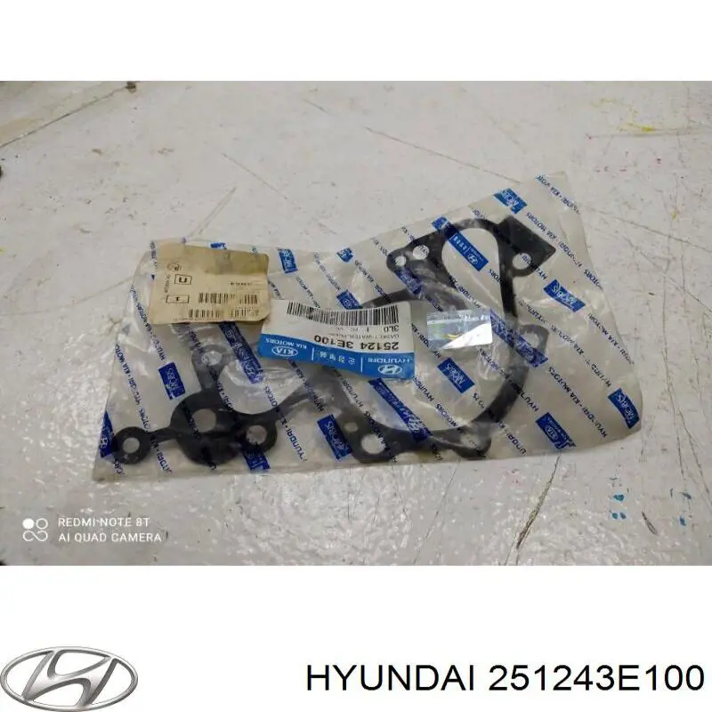 Vedante de bomba de água para Hyundai Santa Fe (CM)