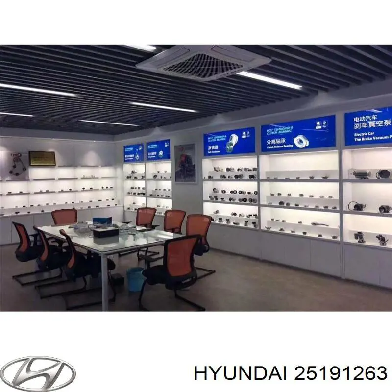 Купить 25191263 Hyundai/Kia Ведуший ролик ГРМ