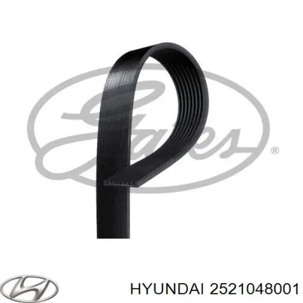  2521048001 Hyundai/Kia