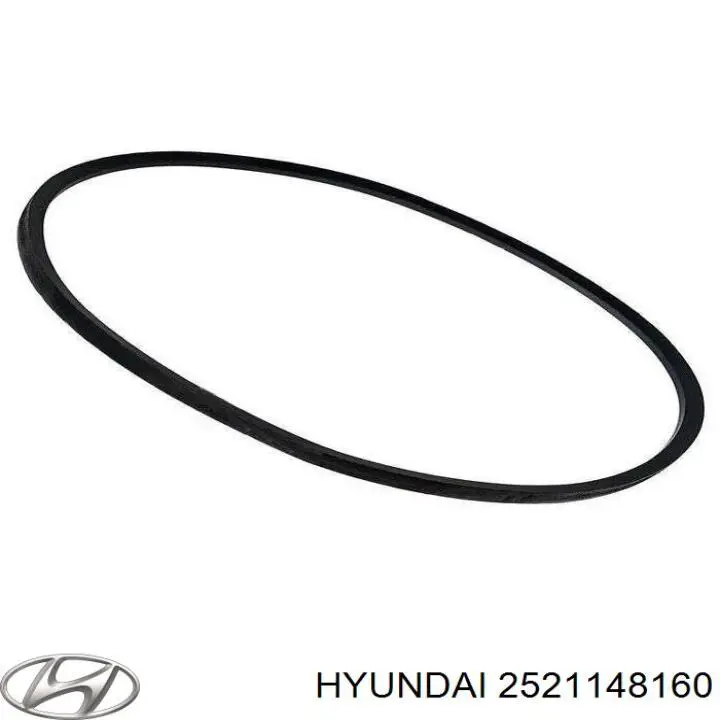 2521148160 Hyundai/Kia 