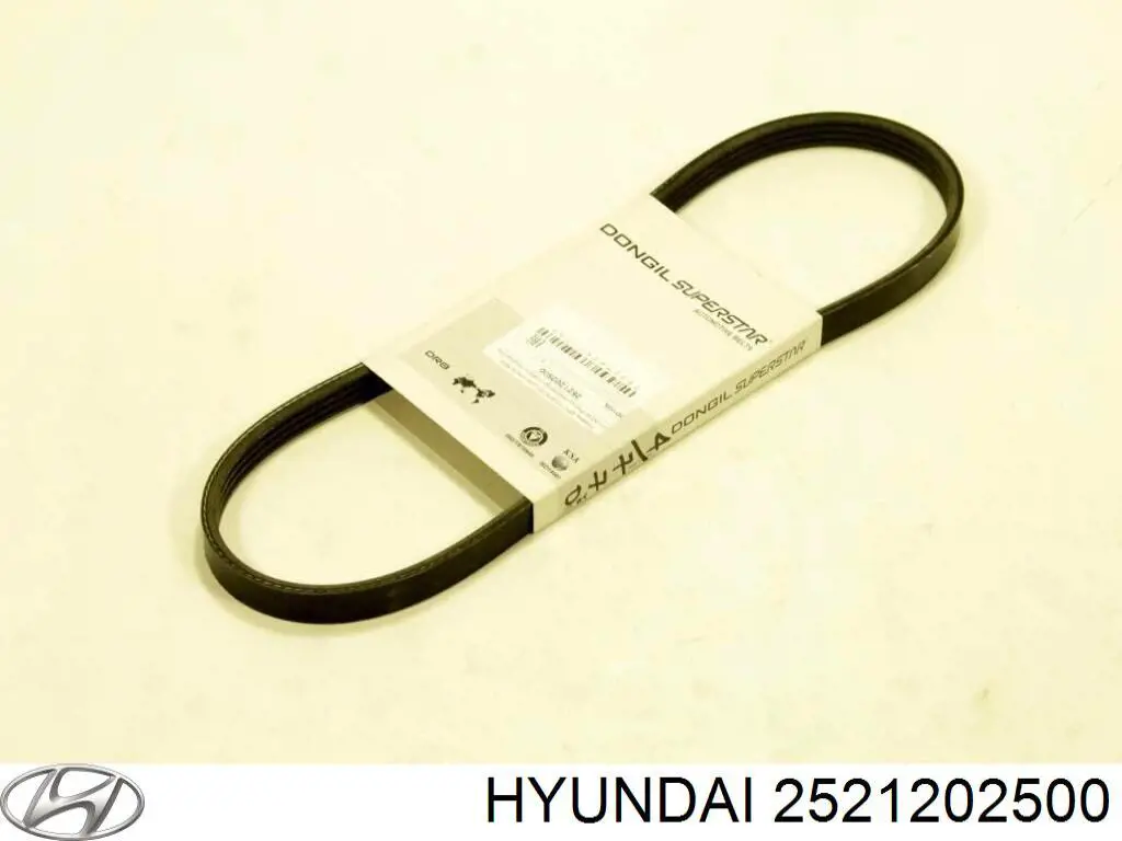 2521202500 Hyundai/Kia