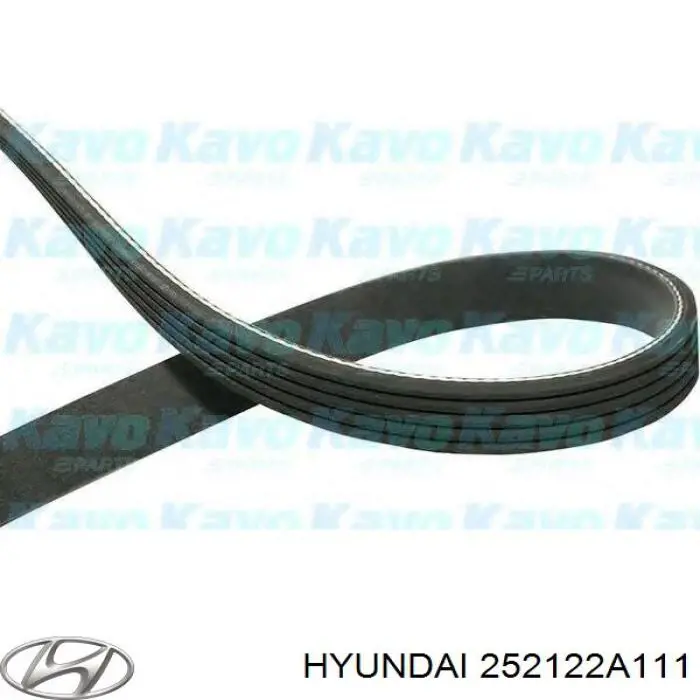 252122A111 Hyundai/Kia ремень генератора