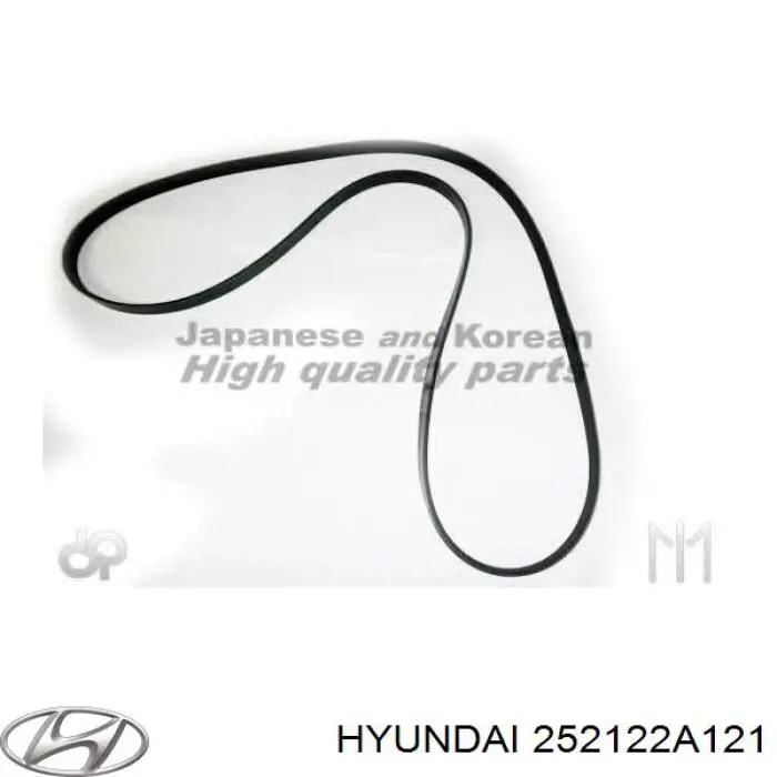 252122A121 Hyundai/Kia correia dos conjuntos de transmissão
